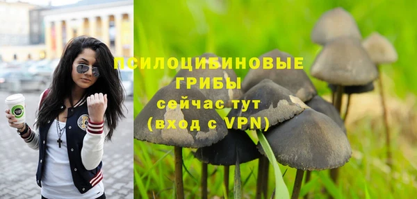 молекула духа Вязьма