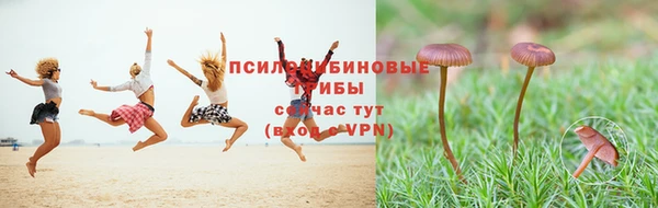 MDMA Волоколамск