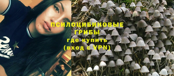 хмурый Верея