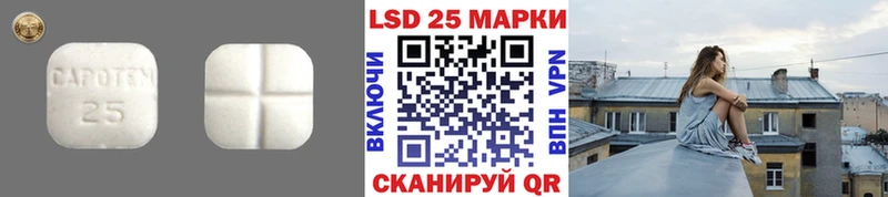 цена наркотик  Калининск  ЛСД экстази кислота 